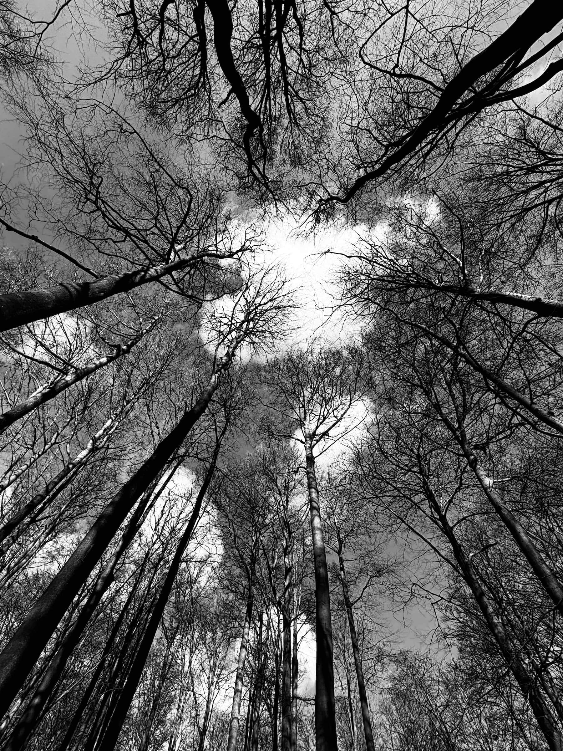 Passages 13 © PGC